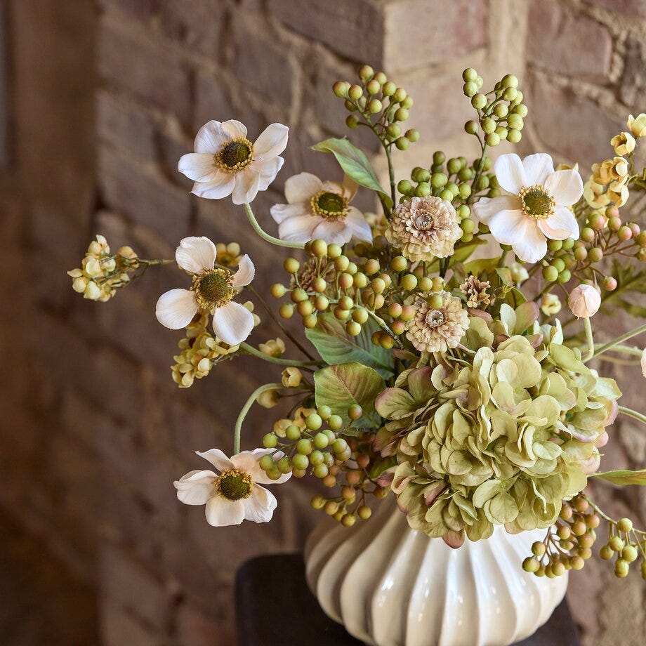 Mr Plant Hortensia