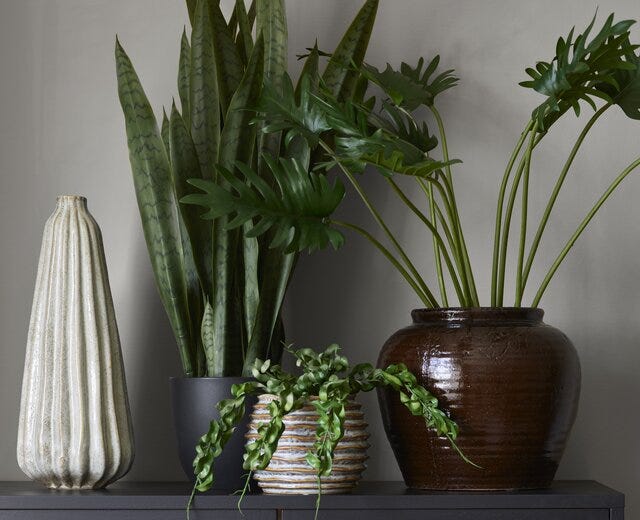 HOYA Kunstig plante H15 cm i Grønn