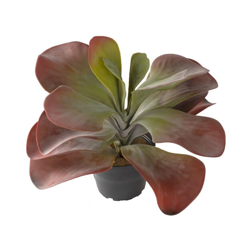 KALANCHOE Kunstig plante H:25 cm i Rød