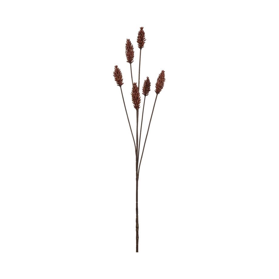 Mr Plant Kvist