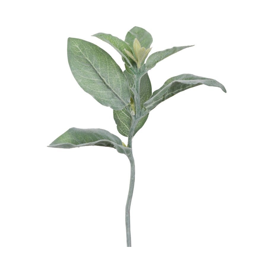 Mr Plant Lammeøre