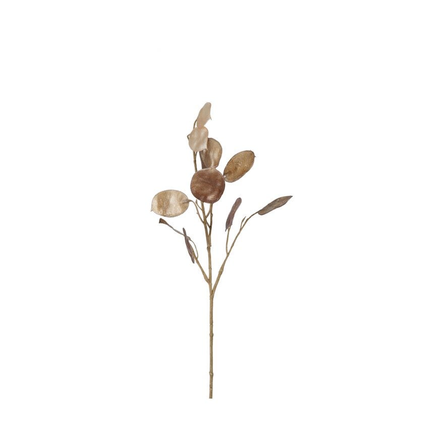 LUNARIA Kunstig blomst H55 cm i Brun