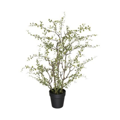Muehlenbeckia kunstig plante H70