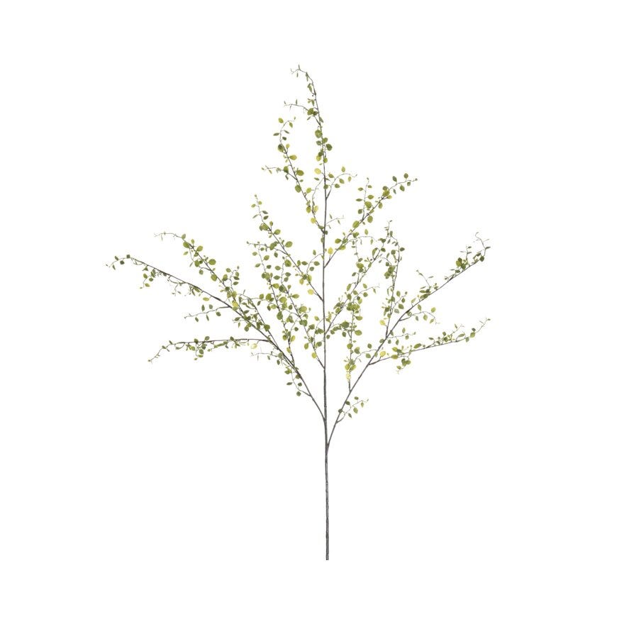 Mr Plant MUEHLENBECKIA Kunstig blomst H100 cm i Grønn