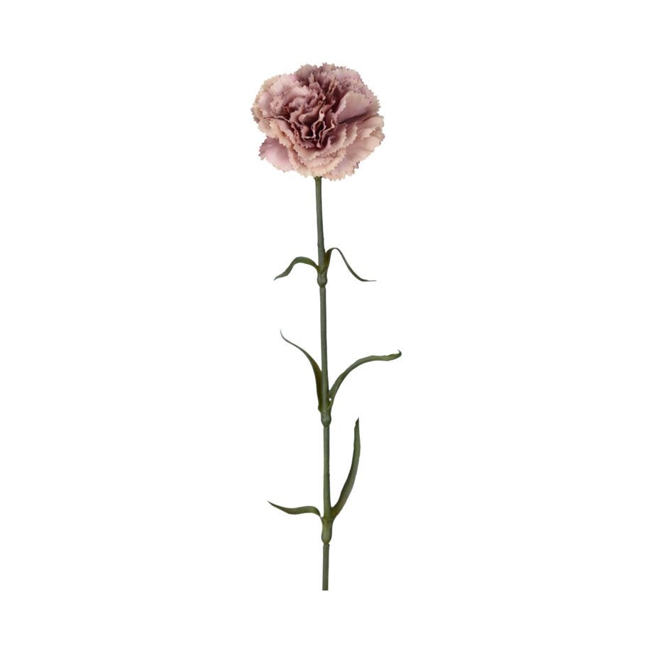 Mr Plant Nellik
