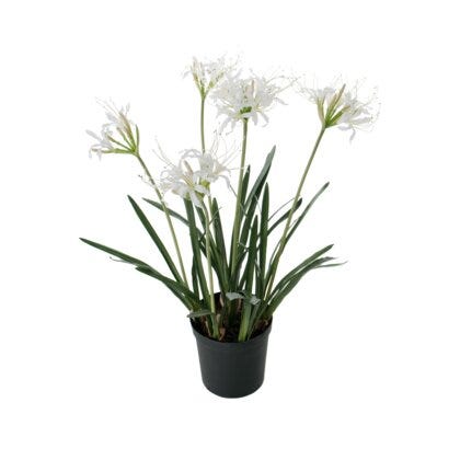 Nerine kunstig blomst H80
