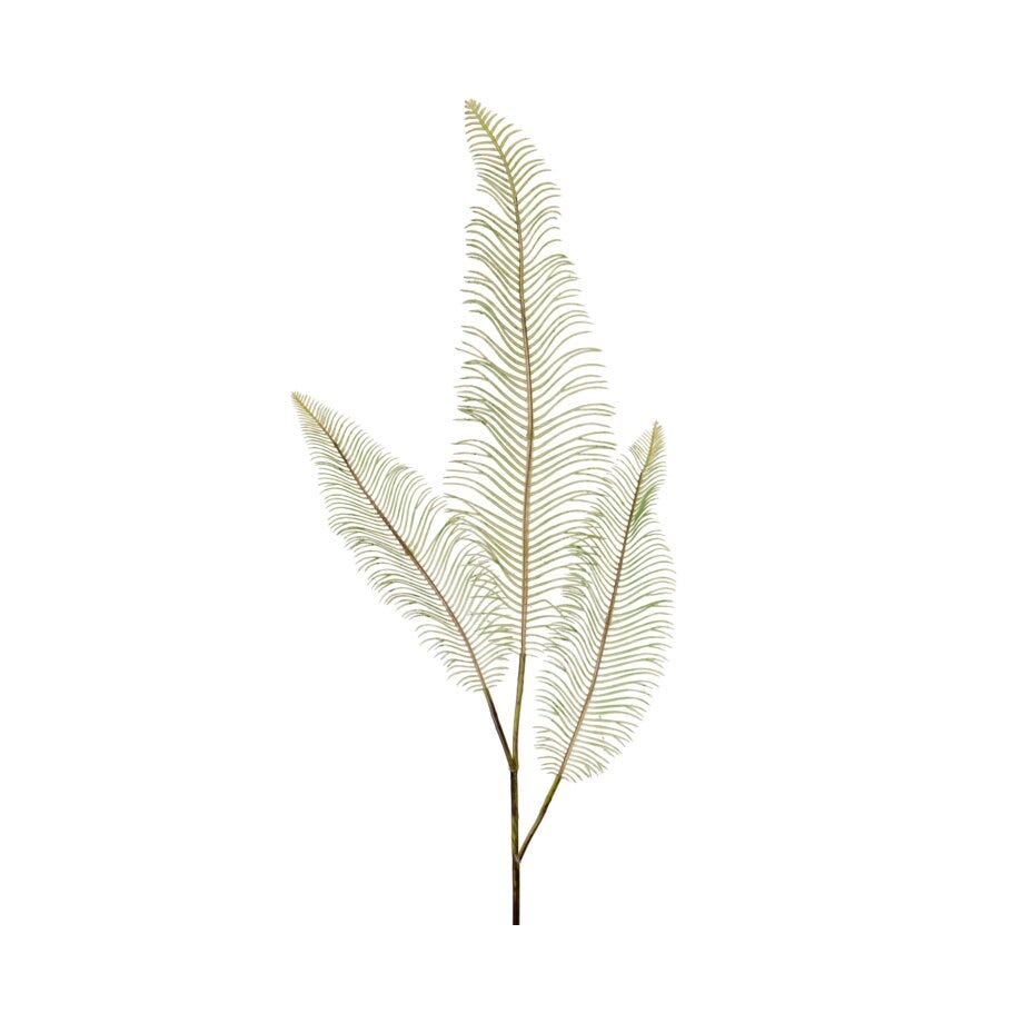 Mr Plant Ormbunksblad