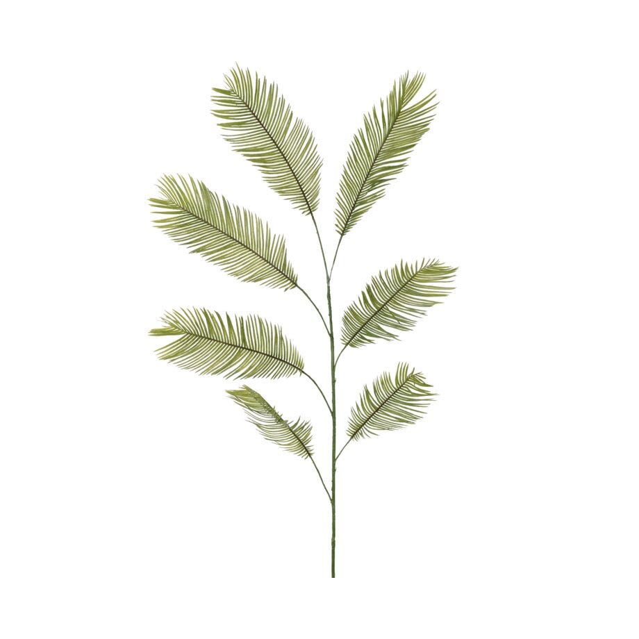 Mr Plant Palmeblad