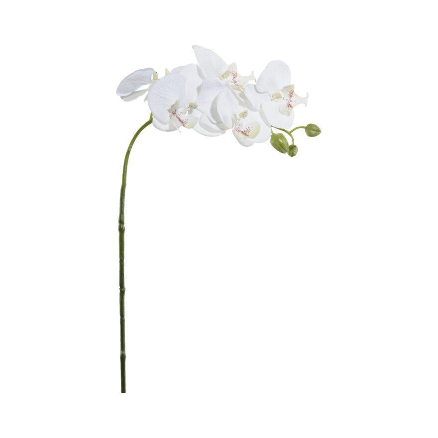 PHALAPENOPSIS Kunstig blomst H65 cm i Hvit