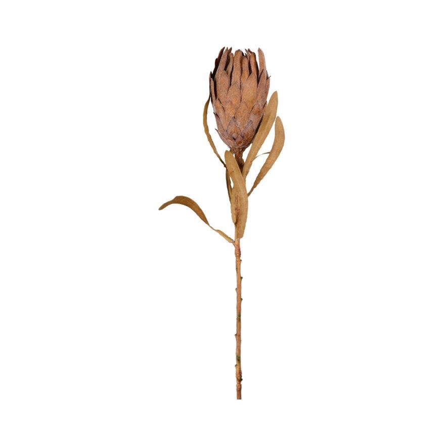 PROTEA Kunstig blomst H60 cm i Brun