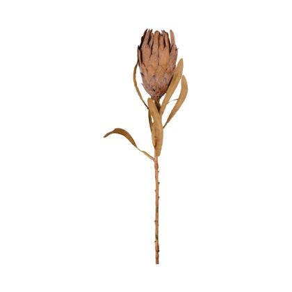 Protea kunstig blomst H60