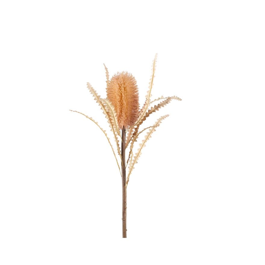 PROTEA Kunstig blomst H60 cm i Beige/natur