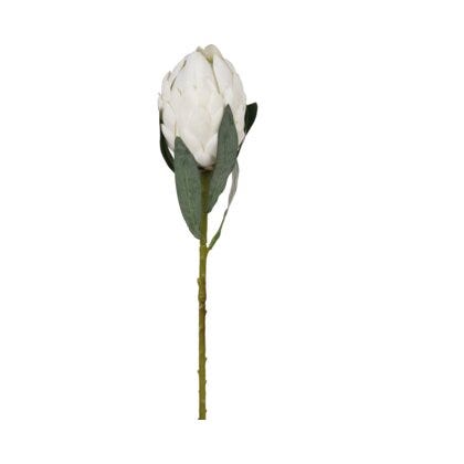 Protea kunstig blomst H60