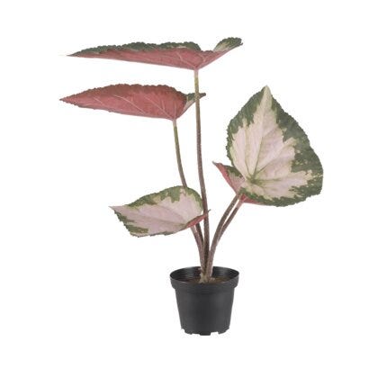 Rexbegonia kunstig plante H35