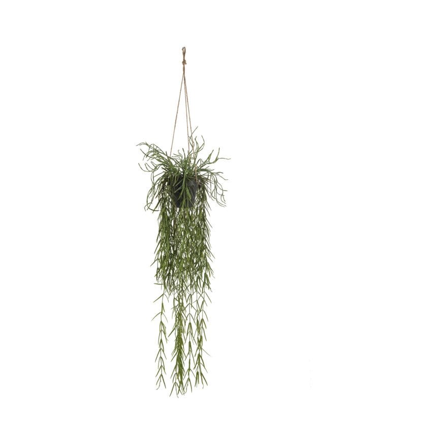 RHIPSALIS Kunstig plante H25 cm i Grønn