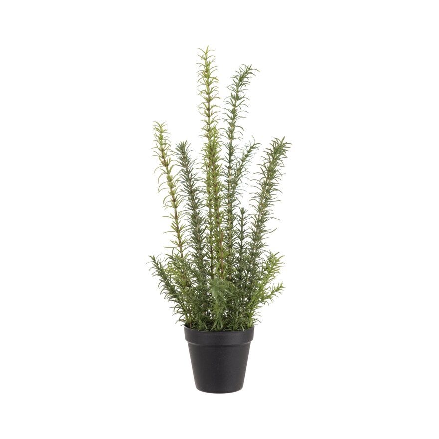 Mr Plant ROSMARIN Kunstig plante H58 cm i Grønn