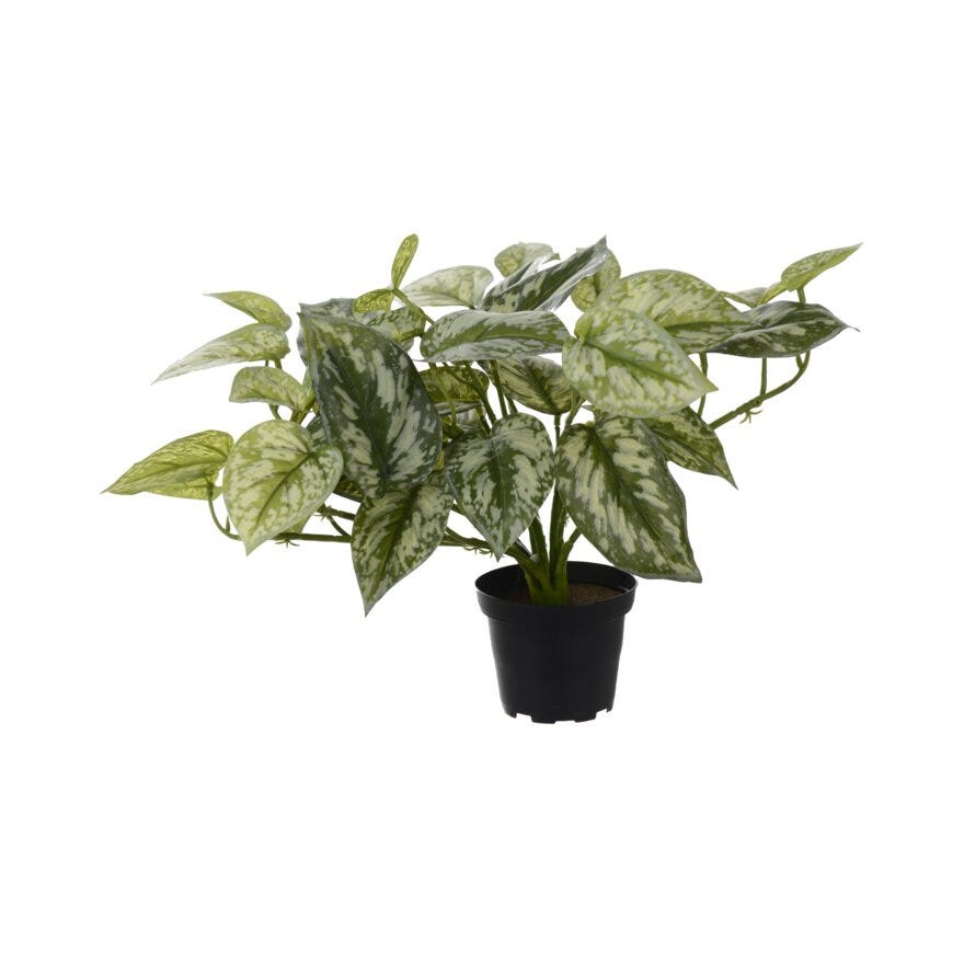 Mr Plant SØLVRANKE Kunstig plante H26 cm i Grønn