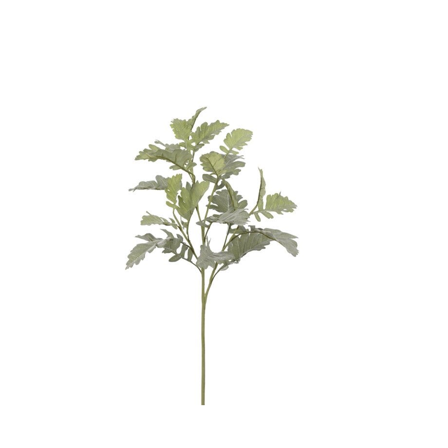 Mr Plant Silverek