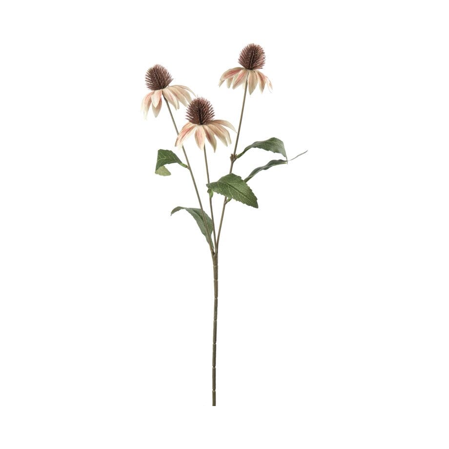 Mr Plant Solhatt