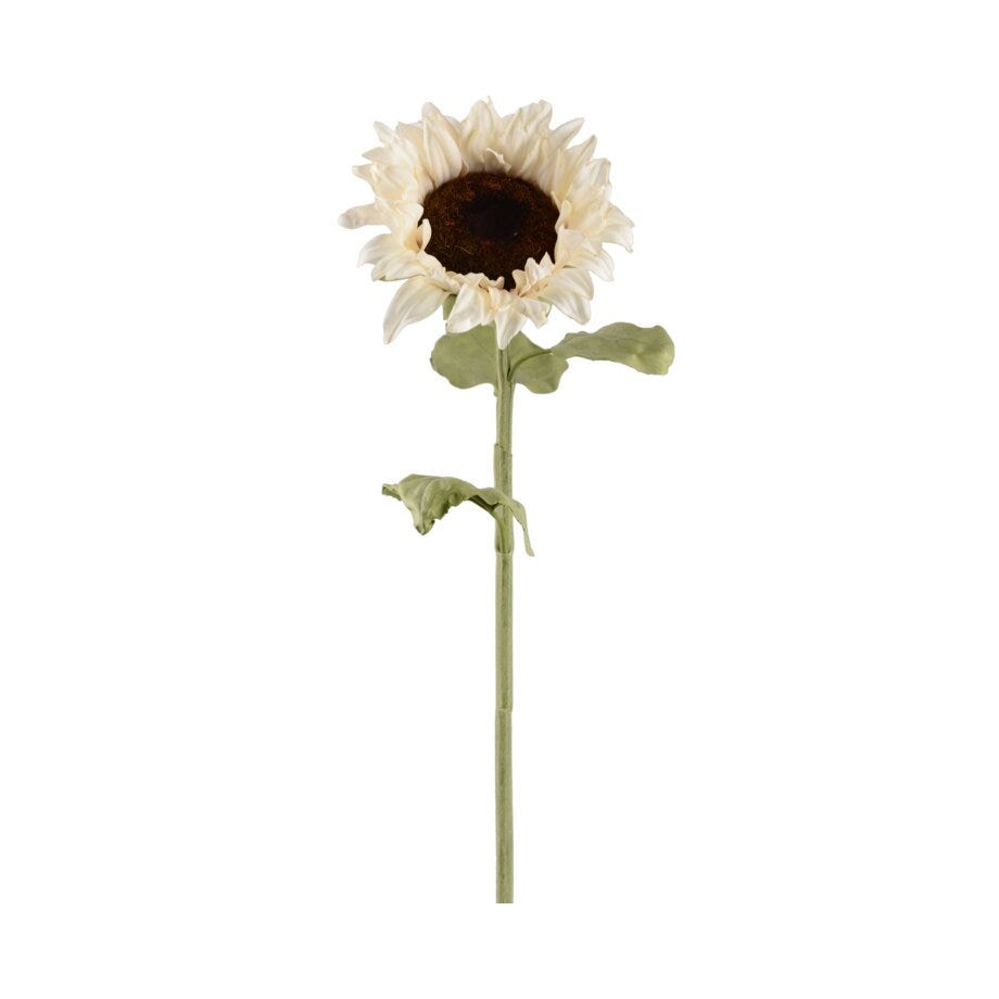 Mr Plant Solsikke