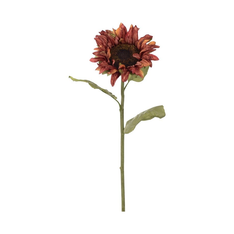 Mr Plant Solsikke