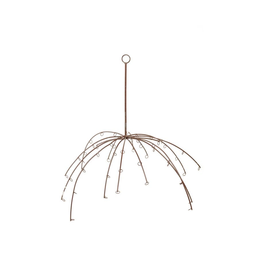Mr Plant Spider