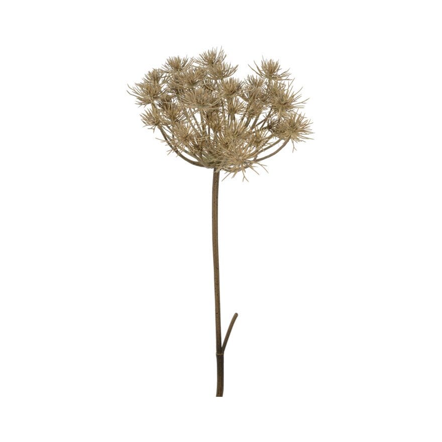 TRACHELIUM Kunstig blomst H140 cm i Brun