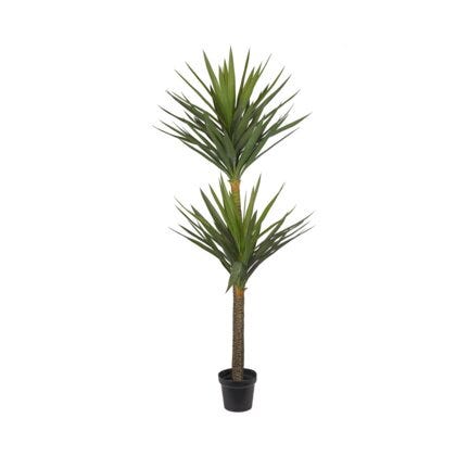 Yucca palme H180