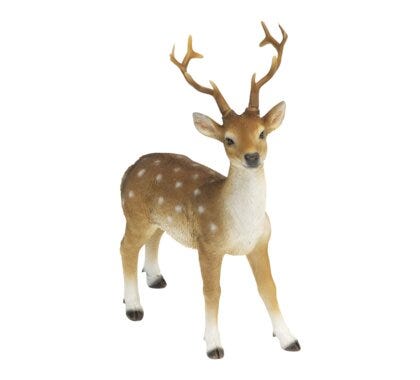 Product gallery image
