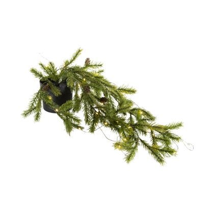 Eda julelys dekorasjon