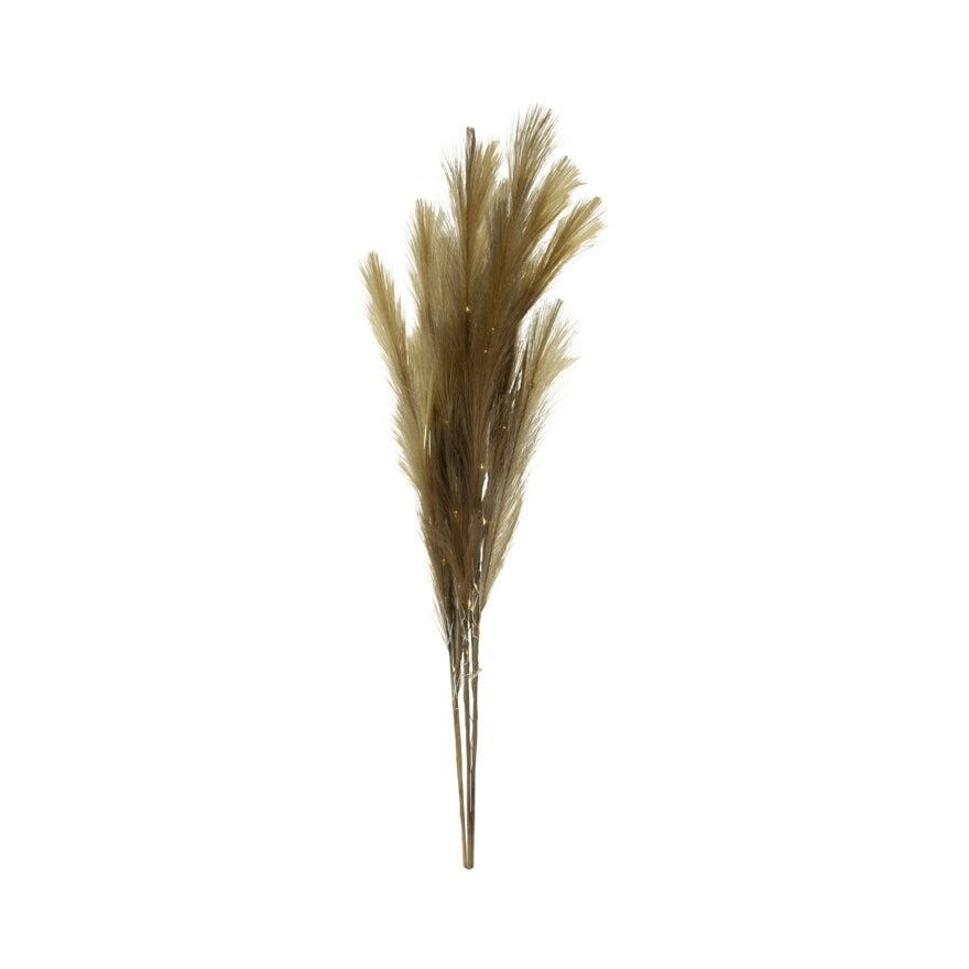 Ly FØNIX Pampasgress 6.5x6.5 cm i Brun