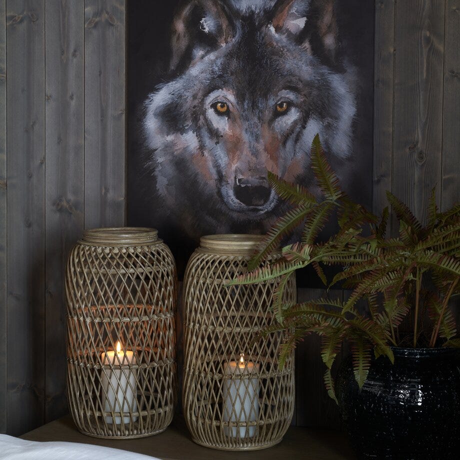 Nordicwild