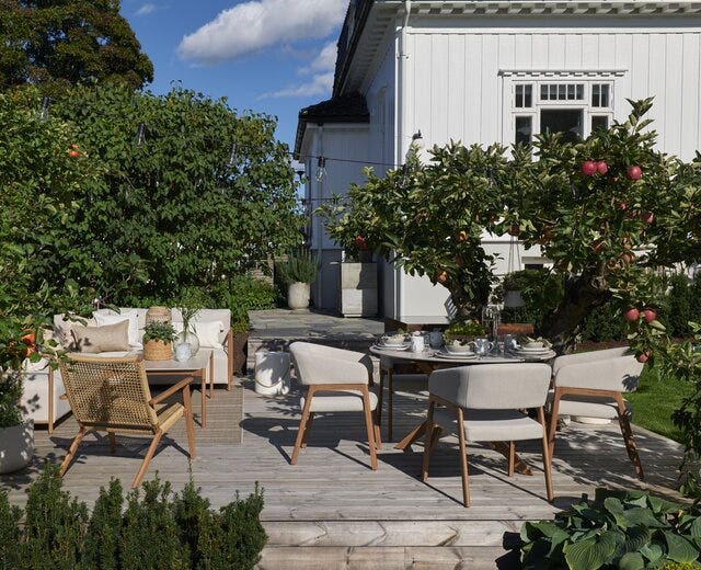LEONORA Spisestol med armlene i Beige/natur