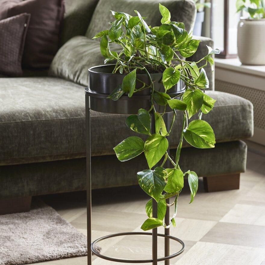 Sindig SITA Pidestall H70 cm i Svart