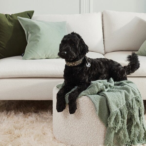 Slik vedlikeholder du sofaen din