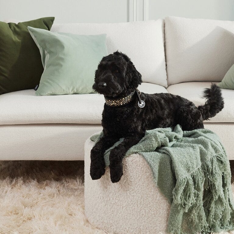 Slik vedlikeholder du sofaen din