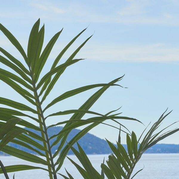 Hello spring: Utelivet kaller