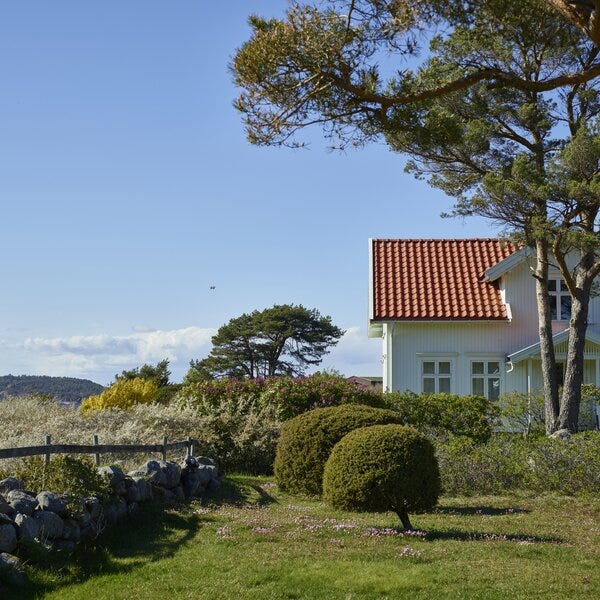 Vårlig idyll med Halvor Bakke